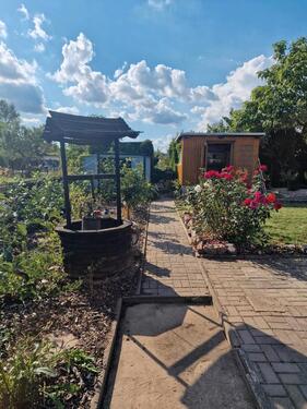 Foto - Grundstück in Eisleben (Lutherstadt) zur Miete