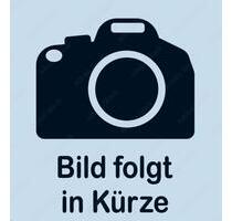 Wohnung 2 ZKB 50m2 sofort frei klimatisiert - Lampertheim
