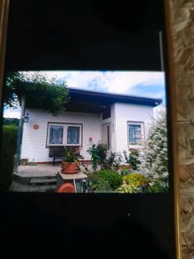 Foto - Pachtgarten im Saurasen mit Massivbungow