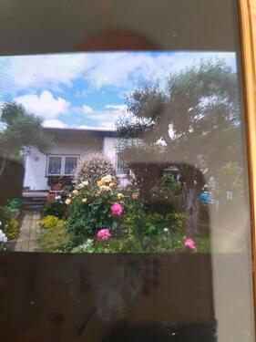 Foto - Grundstück zur Miete in Eisenach