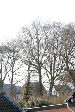 Foto - andere in Bedburg-Hau