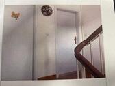 Foto - Etagenwohnung in Görlitz zur Miete