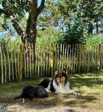 Foto - andere in Nümbrecht