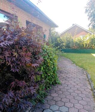 Foto - 6 Zimmer Einfamilienhaus zum Kaufen in Rendsburg