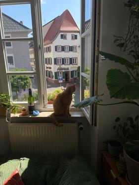 Foto - 3 Zimmer Etagenwohnung in Landau in der Pfalz