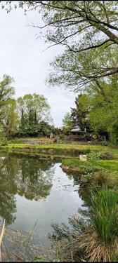 Foto - Angelteich Fischteich Teich Angeln Fische Pacht 300.- mtl.