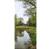 Angelteich Fischteich Teich Angeln Fische Pacht 300.- mtl. - Solingen Aufderhöhe