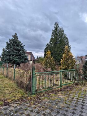 Foto - 8 Zimmer Einfamilienhaus zum Kaufen in Calbe (Saale)