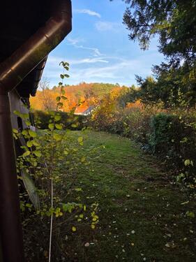 Foto - Einfamilienhaus in Namborn zum Kaufen