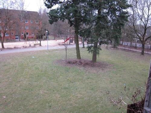 Foto - 3 Zimmer Etagenwohnung zur Miete in Geesthacht