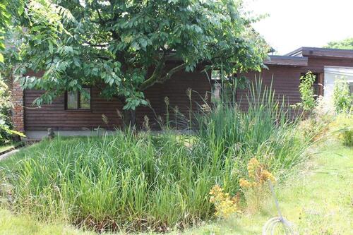 Foto - Verkaufe Haus in Stolpe Uckermark