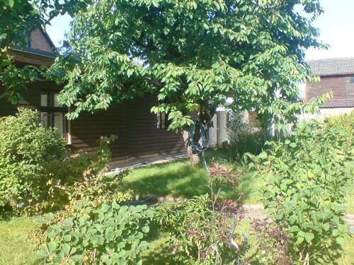 Foto - Einfamilienhaus in Angermünde zum Kaufen