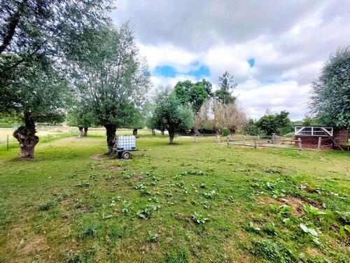 Foto - Einfamilienhaus in Hettstedt zum Kaufen