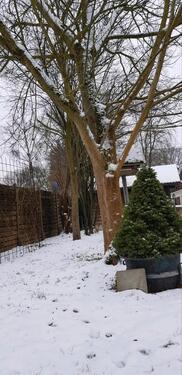 Foto - Einfamilienhaus in Schiffdorf zum Kaufen