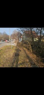 Foto - Grundstück Wiese zu vermieten 4000m2 Del-Deichorst