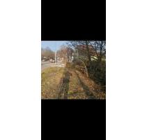 Grundstück Wiese zu vermieten 4000m2 Del-Deichorst - Delmenhorst Bungerhof