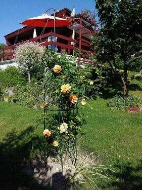 Foto - Grundstück zur Miete in Zeitz
