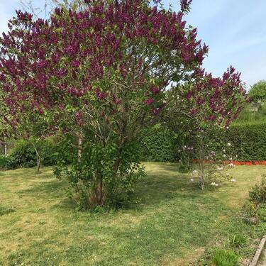 Foto - Grundstück in Flensburg