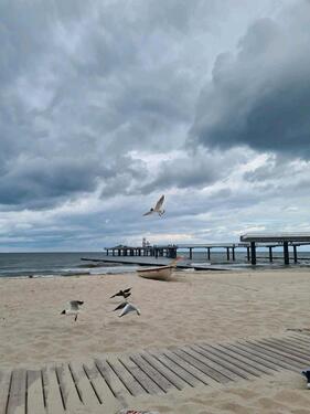 Foto - andere in Ahrensfelde zur Miete