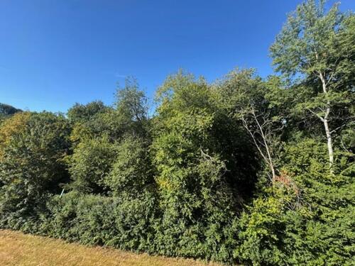 Foto - Etagenwohnung in Plettenberg zur Miete