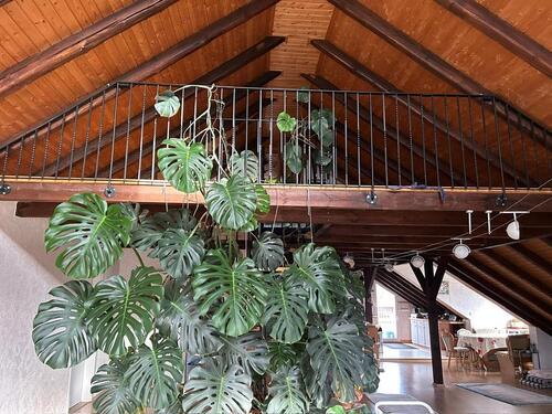 Foto - 3 Zimmer Maisonettenwohnung zur Miete in Kranichfeld