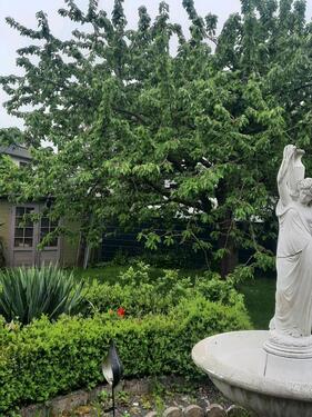 Foto - Einfamilienhaus - 330.000,00&nbsp;EUR Kaufpreis, ca.&nbsp; 168,00&nbsp;m&sup2;