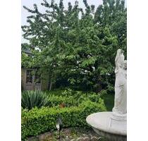 Einfamilienhaus - 330.000,00&nbsp;EUR Kaufpreis, ca.&nbsp; 168,00&nbsp;m&sup2; in Warburg (PLZ: 34414)