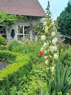Foto - 8 Zimmer Einfamilienhaus zum Kaufen in Warburg
