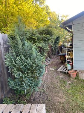 Foto - Grundst&uuml;ck in Hannover zur Miete