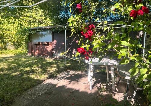 Foto - Zentraler Garten in Bad Homburg