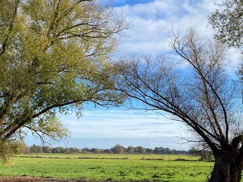 Foto - andere in Ketzin zur Miete
