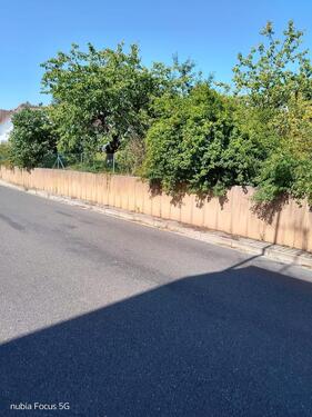 Foto - Baugrundstücke in Beikheim - 45,00&nbsp;EUR Kaltmiete, ca.&nbsp; 0,00&nbsp;m&sup2;