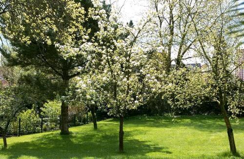Foto - andere zur Miete in Bochum