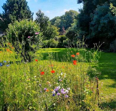 Foto - andere in Bochum