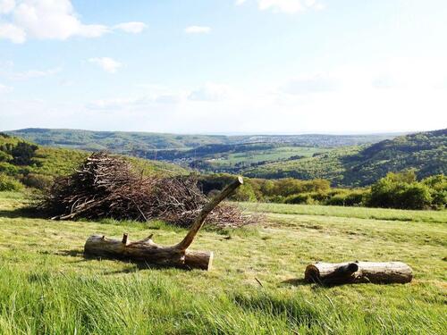 Foto - Attraktives Entwicklungsgrundstück in herausragender Taunuslage