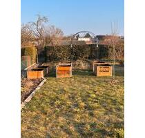 Schrebergarten - 499,00&nbsp;EUR Kaltmiete, ca.&nbsp; 0,00&nbsp;m&sup2; in Wolfenbüttel (PLZ: 38300)