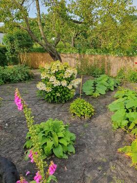 Foto - Kleingarten - 3.750,00&nbsp;EUR Kaltmiete, ca.&nbsp; 0,00&nbsp;m&sup2;