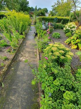 Foto - Grundst&uuml;ck in Eggesin zur Miete