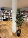 Foto - andere in Seevetal
