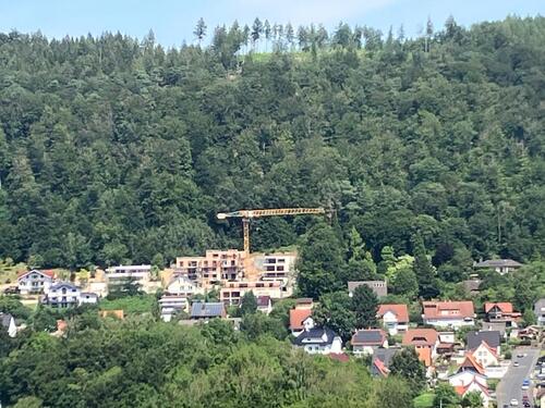 Foto - Auf der Sonnenseite von Hann. Münden - Um diesen Ausblick wird man Sie beneiden