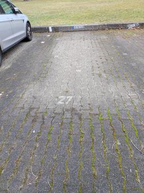 Foto - Stellplatz zu mieten in Freiburg