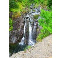 Haus in Bulgarien - 57.000,00&nbsp;EUR Kaufpreis, ca.&nbsp; 75,00&nbsp;m&sup2; in Oberhausen (PLZ: 46049) Alstaden