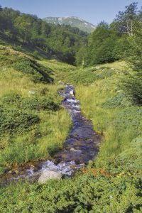 Foto - 3 Zimmer Einfamilienhaus zum Kaufen in Oberhausen