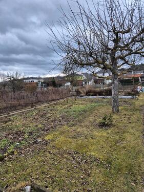Foto - Grundst&uuml;ck in Tonna zur Miete
