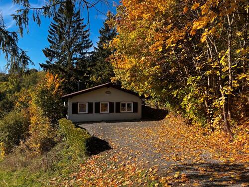 Foto - Einfamilienhaus in Braunlage zum Kaufen