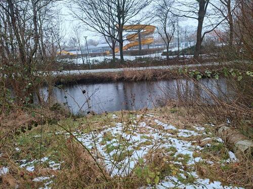 Foto - Freizeitgrundstück mit 731 qm an der Osterau zu vermieten