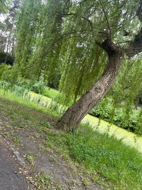 Foto - Etagenwohnung in Berlin zur Miete