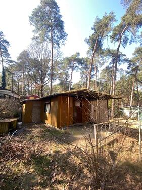 Foto - Bungalow Schervenzsee Schlaubetal Wald Holiday House