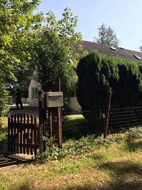 Foto - 2 Zimmer Erdgeschoßwohnung zur Miete in Hagen im Bremischen