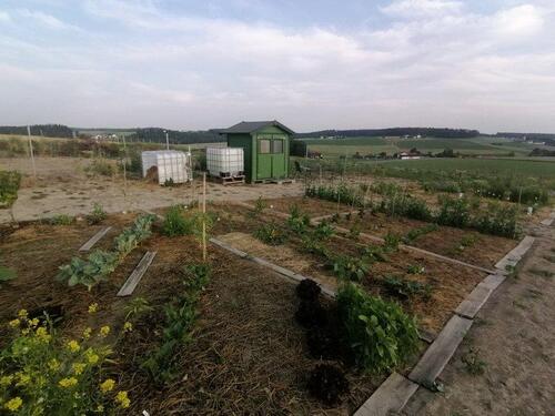 Foto - Gemüsegarten, Ackerfläche, Parzelle, Pachtgarten, Selbstversorger